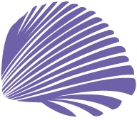 Shell House Culture logo